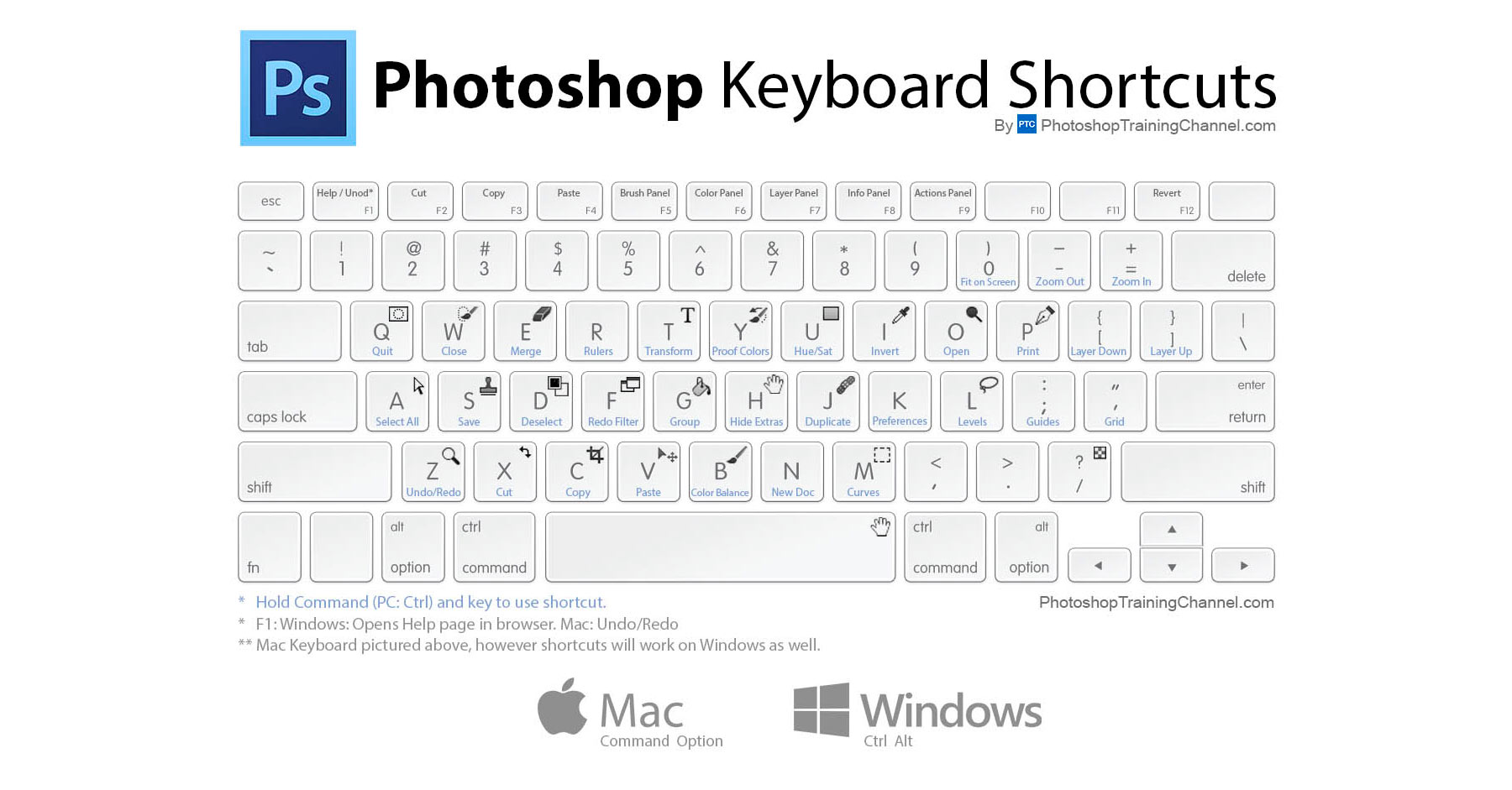 Shortcut Key For The Move Tool On Mac